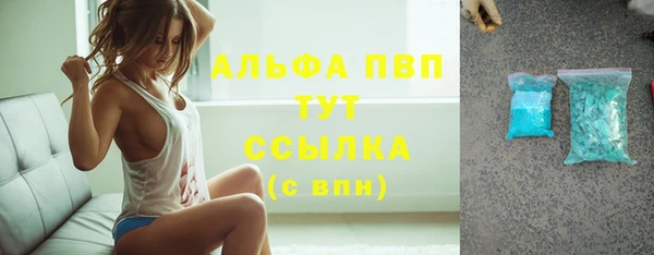 мдпв Богородск