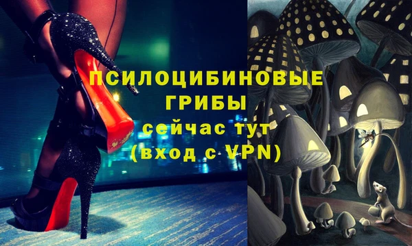 марки nbome Богородицк