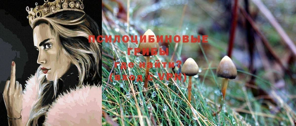 марки nbome Богородицк