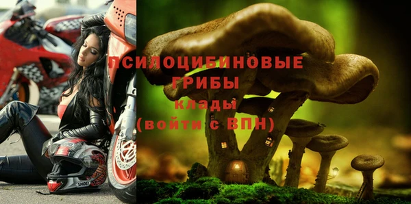 мдпв Богородск