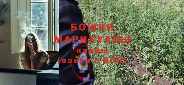 мдпв Богородск